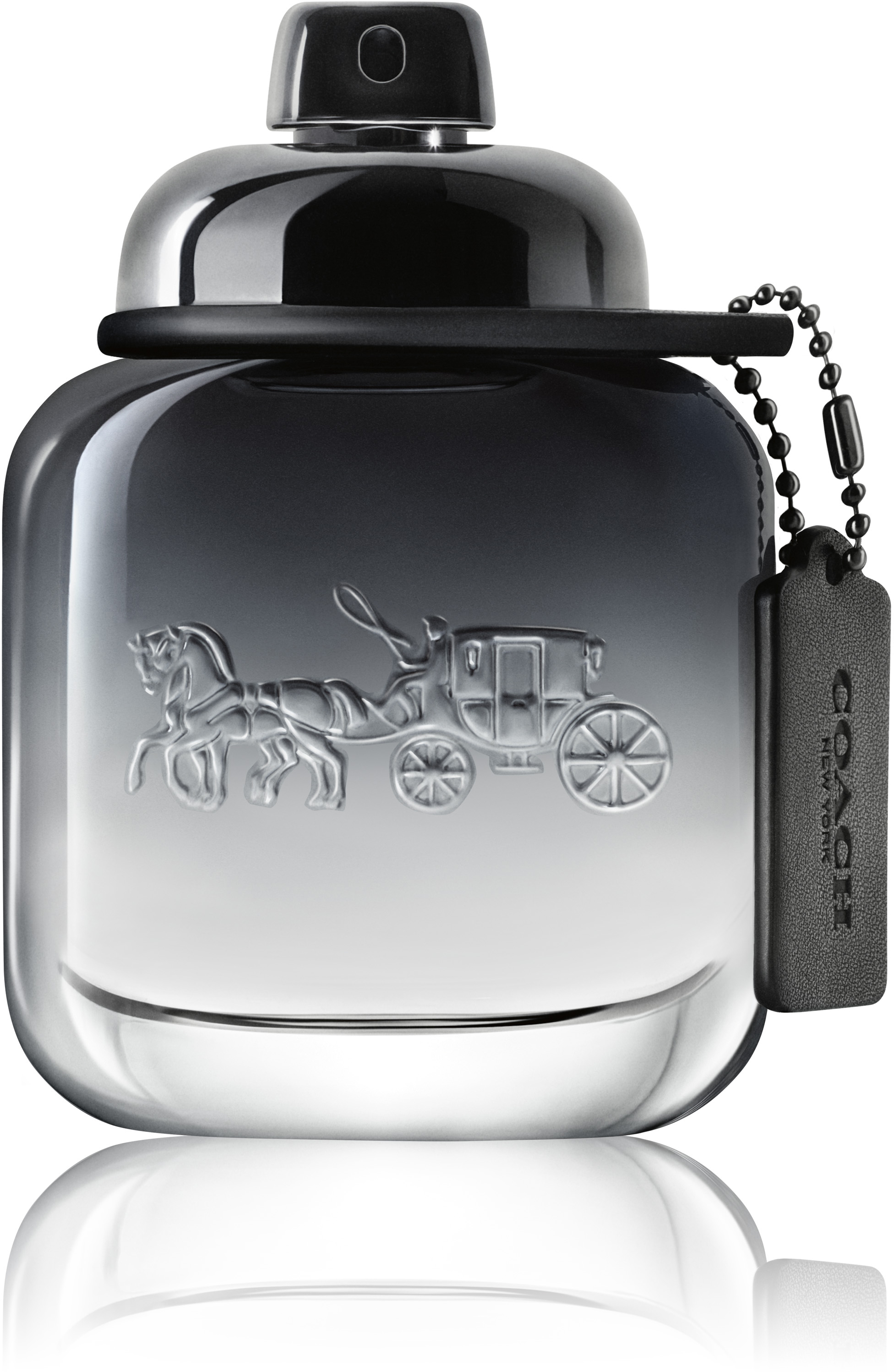 coach perfume silver