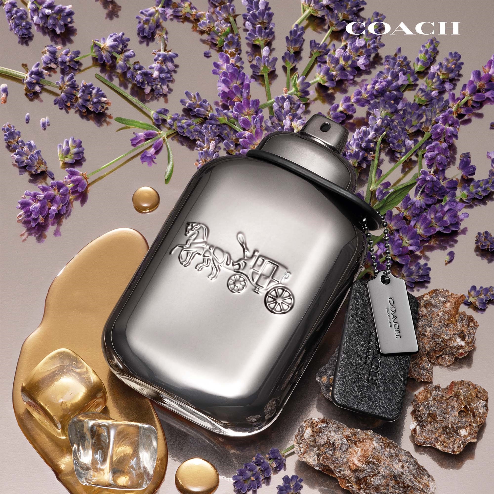Coach Pure Platinum Parfum 60 ml (obrázok 3)