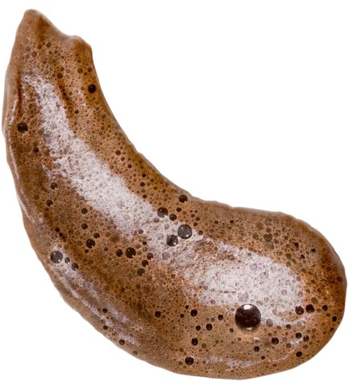En brun banan med bruna fläckar och ett skum över ytan.