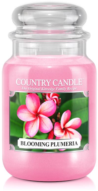 Country Candle 2 Wick Large Jar Blooming Plumeria