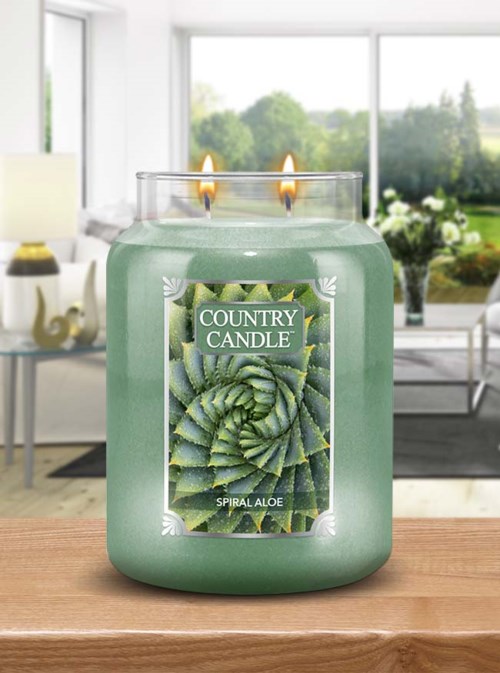 Country Candle Large Jar Spiral Aloe 652 g