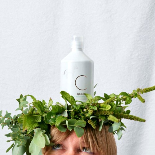 Csoaps Shampoo Eucalyptus & Mint 500 ml