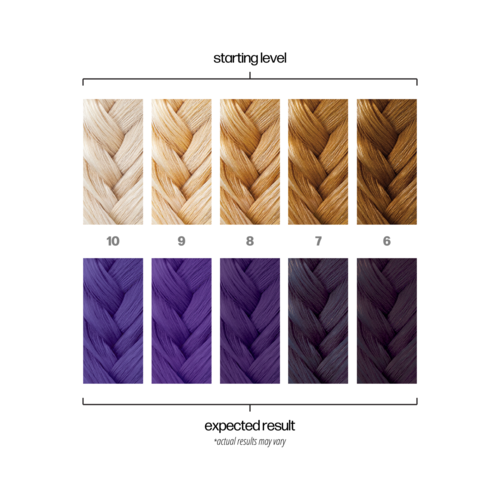 Gradient koloru włosów od jasnego blondu do ciemnego brązu i fioletowych odcieni, pokazujący różne poziomy startu i końca.