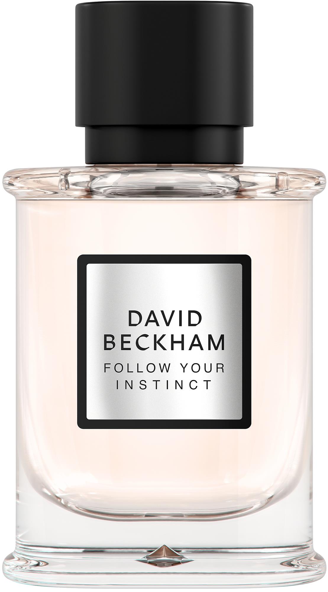 David Beckham Follow Your Instinct Eau de Parfum 50 ml