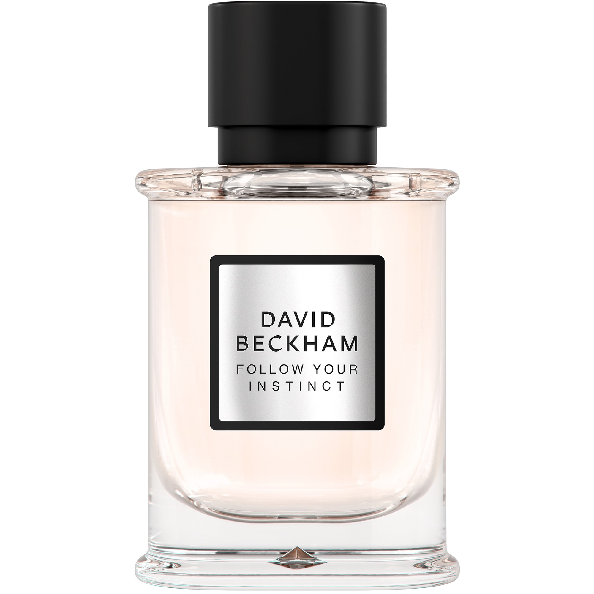 David Beckham Follow Your Instinct Follow Your Instinct Eau de Pa billede