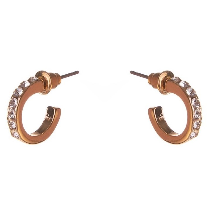 Фото - Сережки Dazzling Earrings Col Small Creole W Clear Crystals Gold