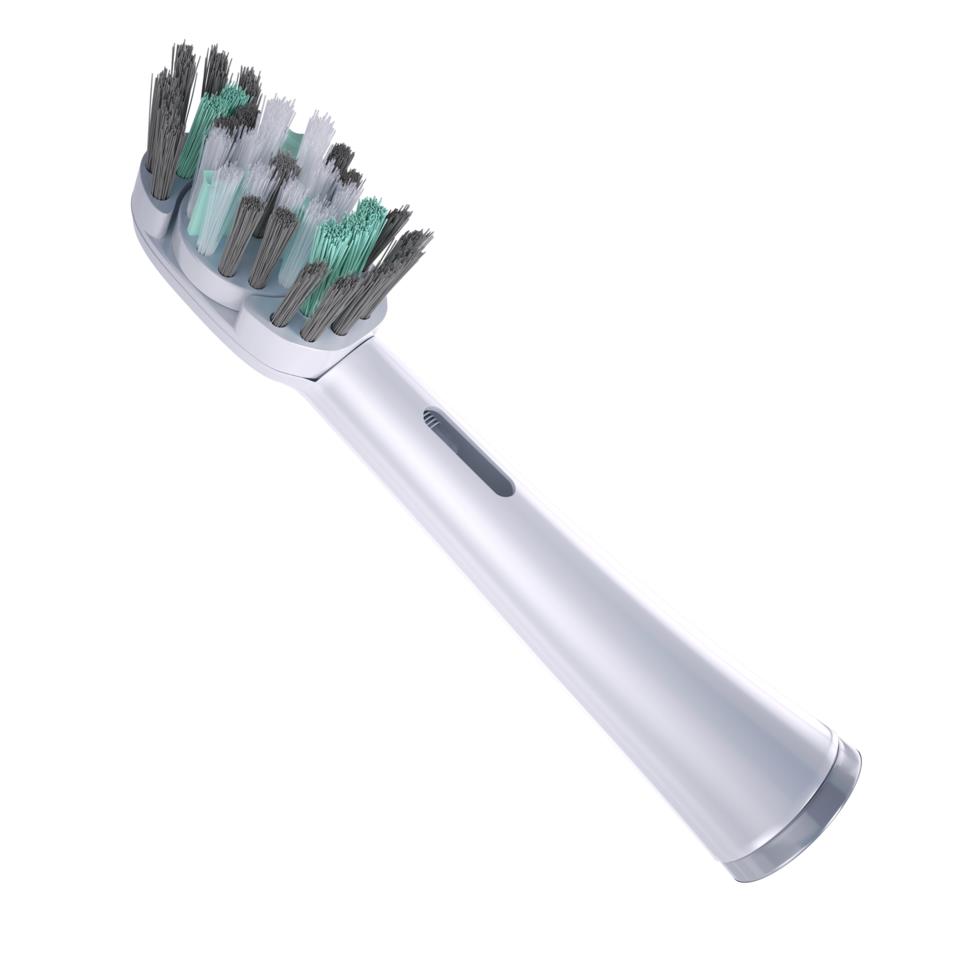Dentle One Refill Prosthesis