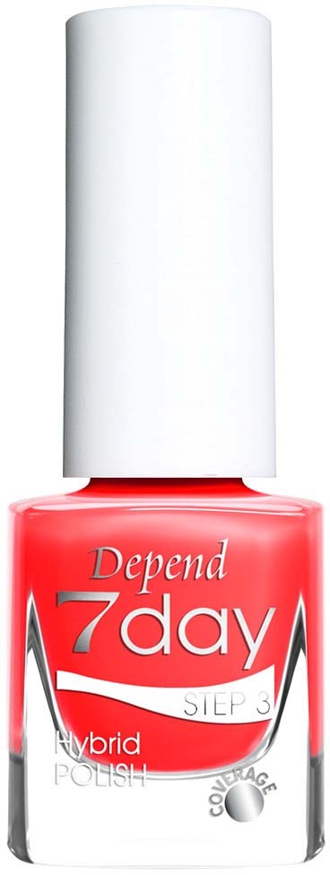 Depend 7day Country Chic  7363 Paint the Town