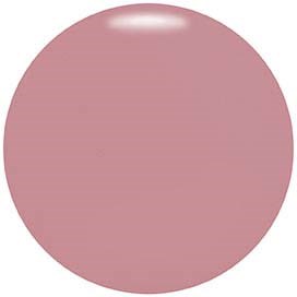A plain pink circle with no other objects or details inside.