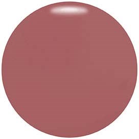 A round, brownish-red circle with a matte finish against a white background.