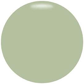 A large, pale green circle with no additional details or objects inside.