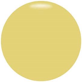 A yellow circle with no other details or objects visible.