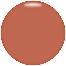 En enkel, slät, rödbrun cirkel utan ytterligare detaljer eller kännetecken.