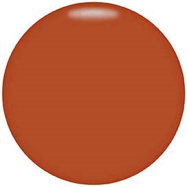 En solid brunt cirkel med en glänsande, glänsande yta och inga andra detaljer eller element.