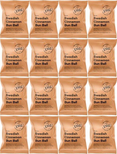 Dig Organic Swedish Cinnamon Bun Ball 16 x 25g