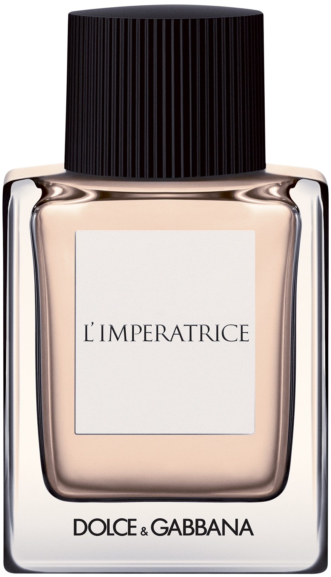 dolce gabbana limperatrice