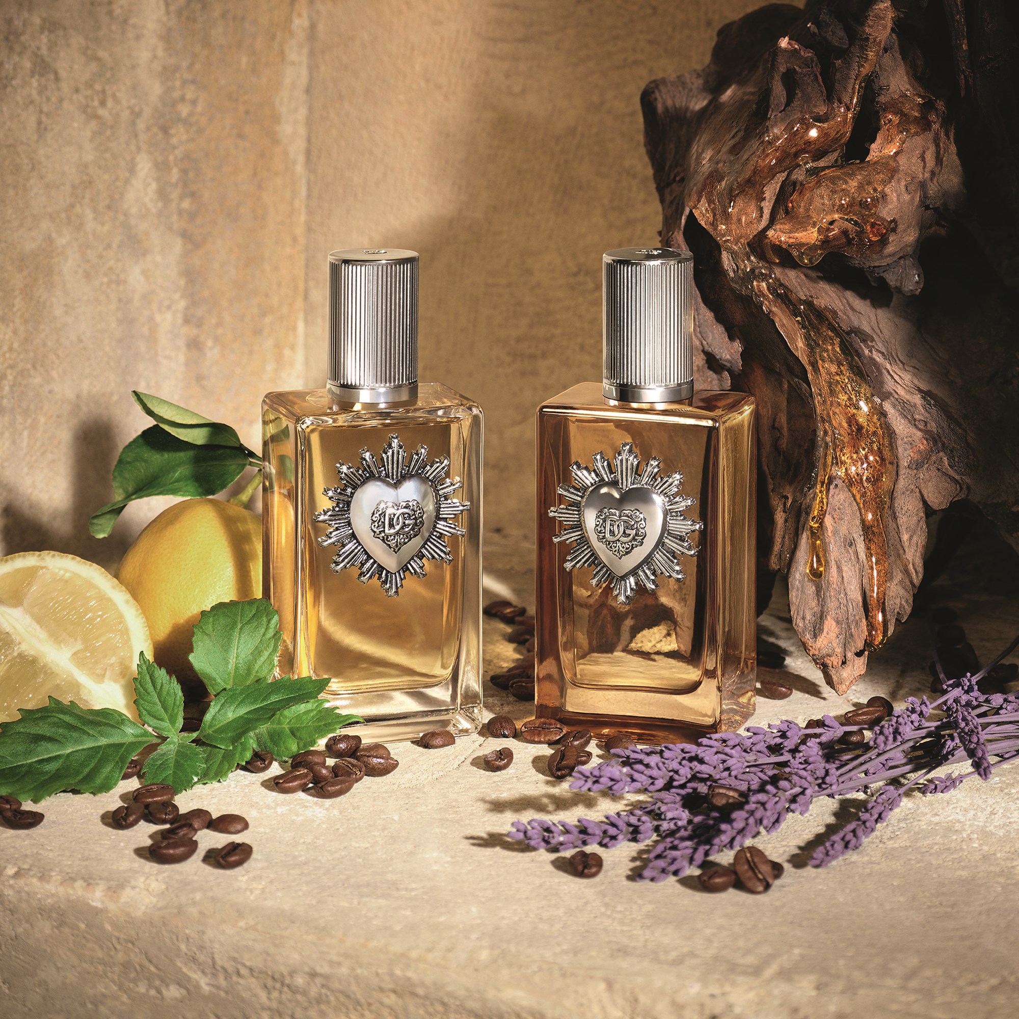Dolce & Gabbana Pour Homme Parfum 50 ml (obrázok 7)