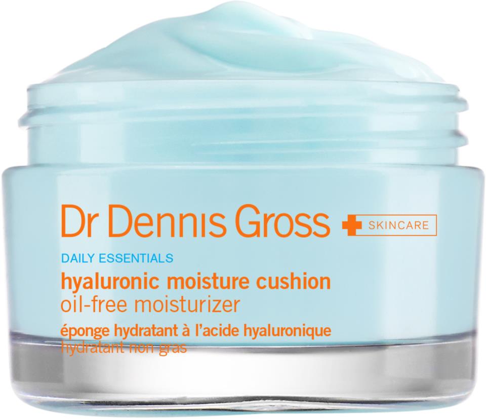Dr Dennis Gross Hyaluronic Moisture Cushion