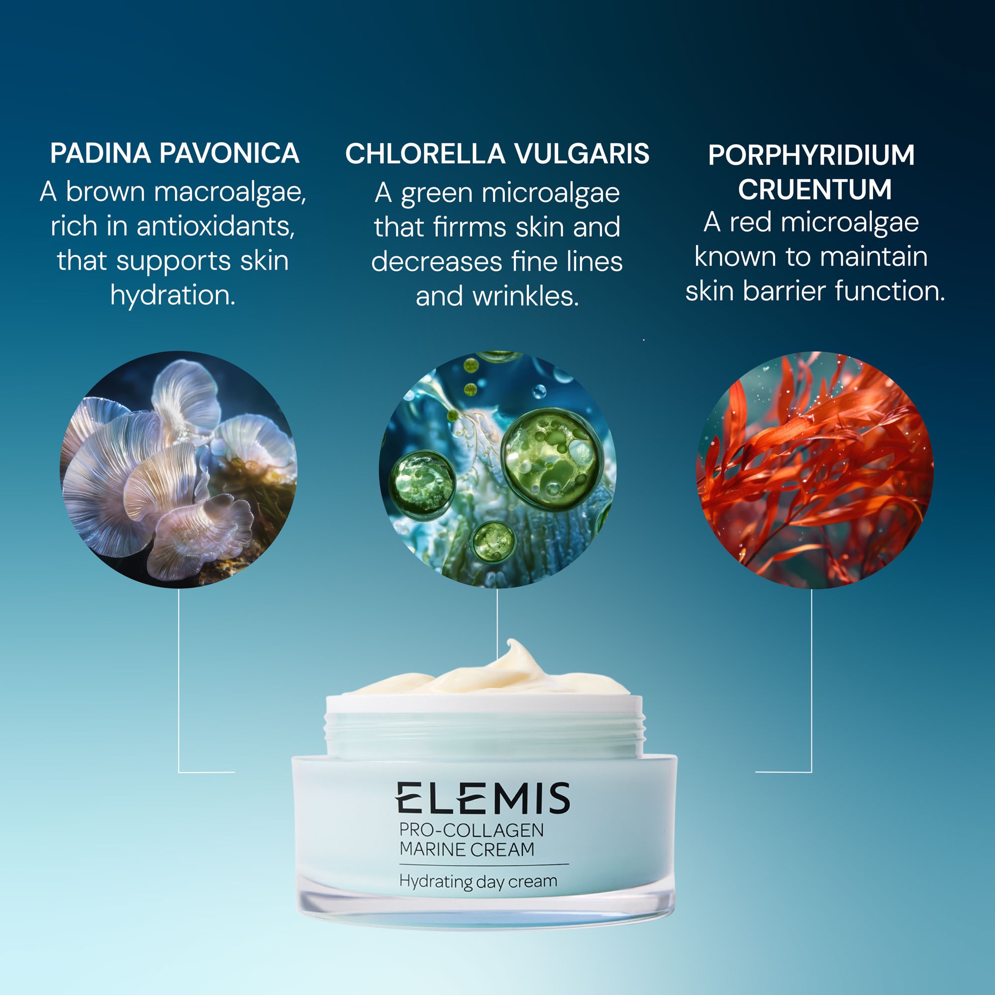 Elemis Pro-Collagen Marine Cream 50 ml (obrázok 7)