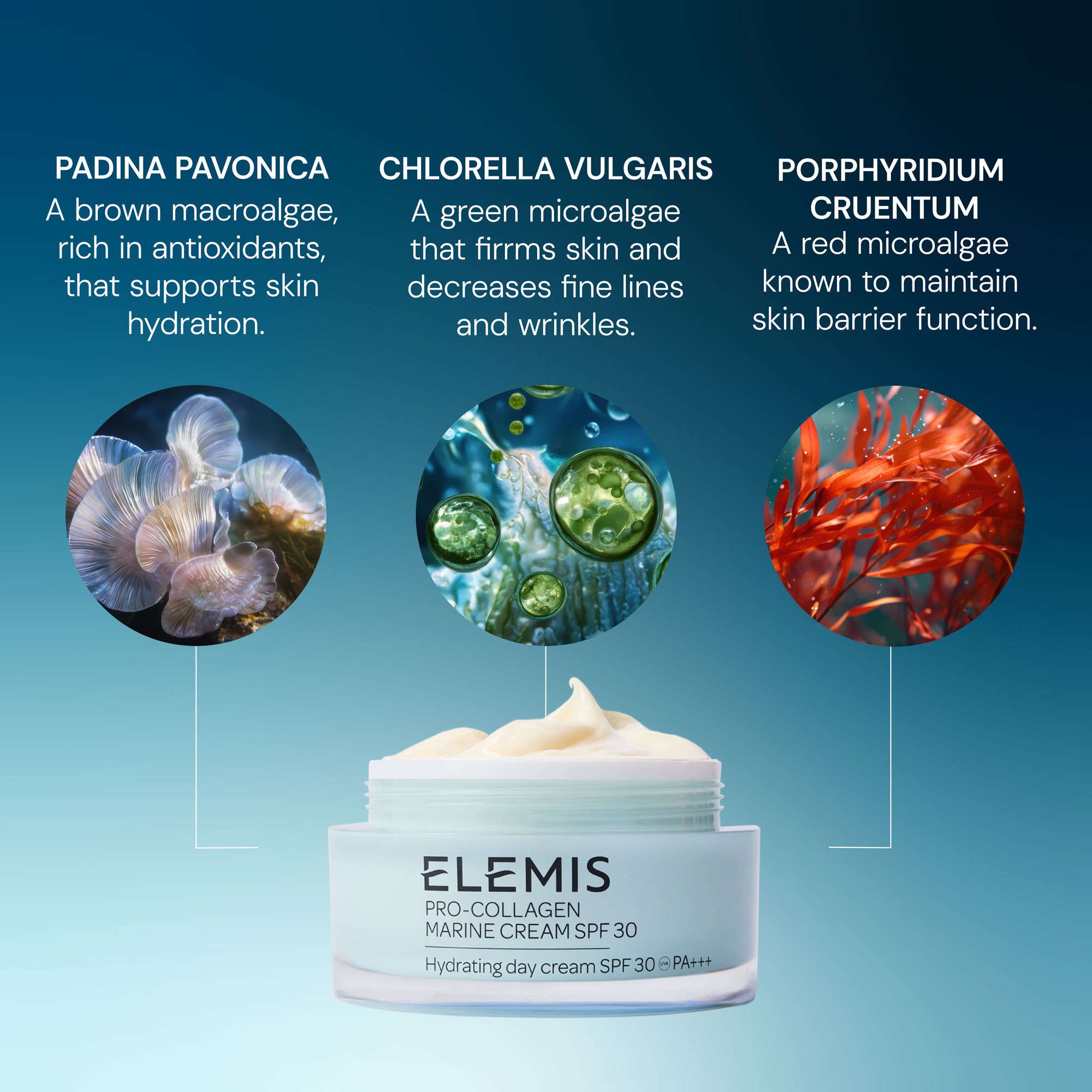 Elemis Pro-Collagen Marine Cream SPF 30 50 ml (obrázok 7)