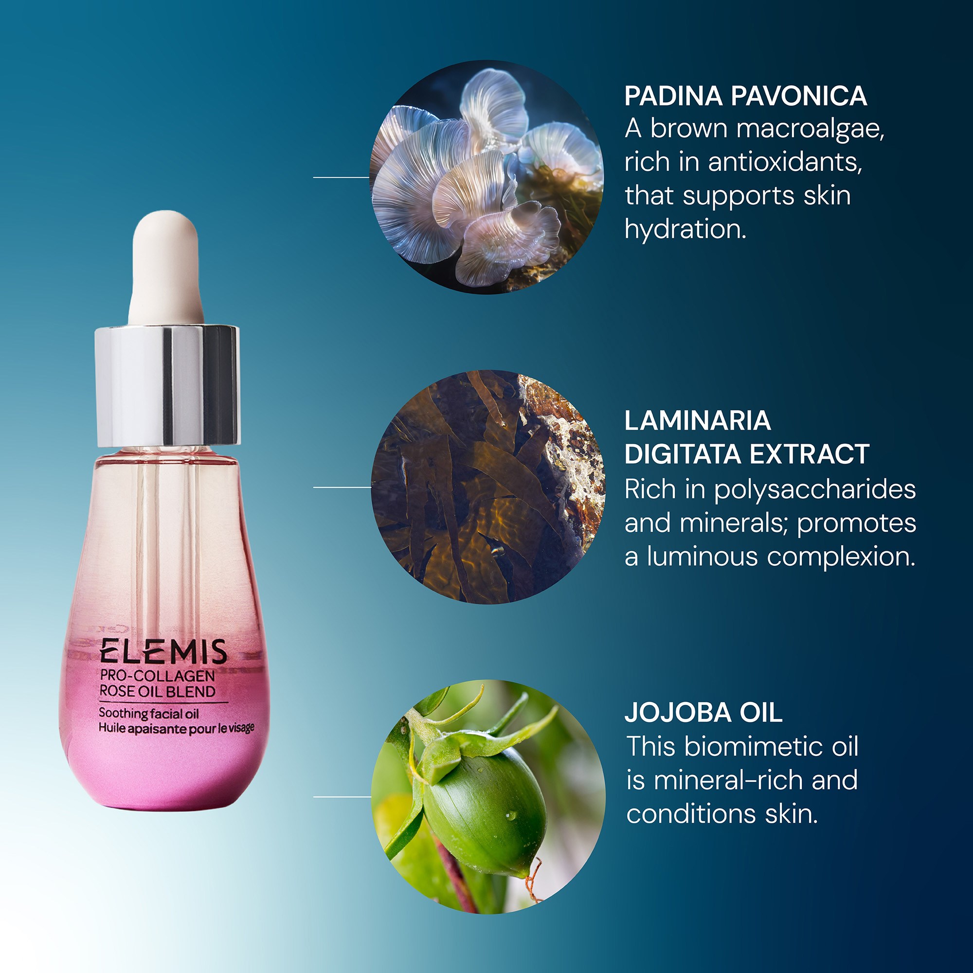 Elemis Pro-Collagen Rose Facial Oil 15 ml (obrázok 7)