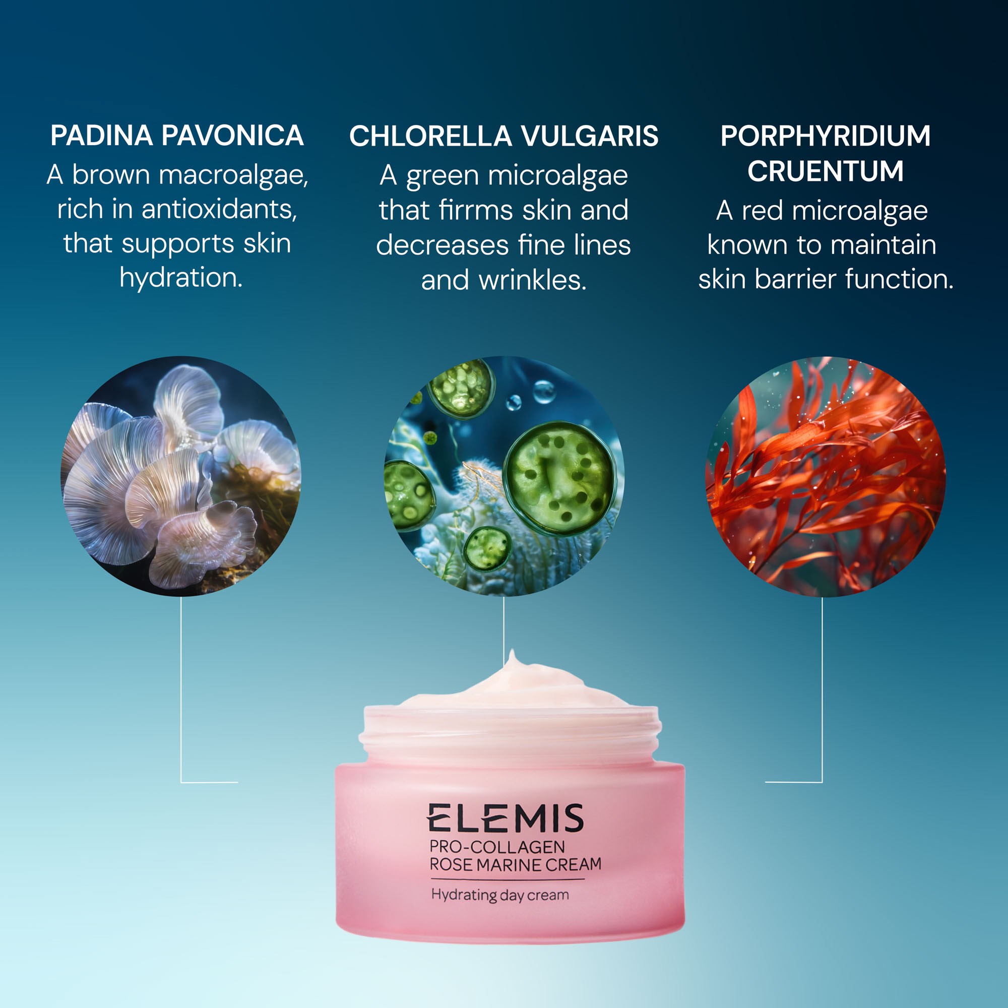 Elemis Pro-Collagen Rose Marine Cream 50 ml (obrázok 7)