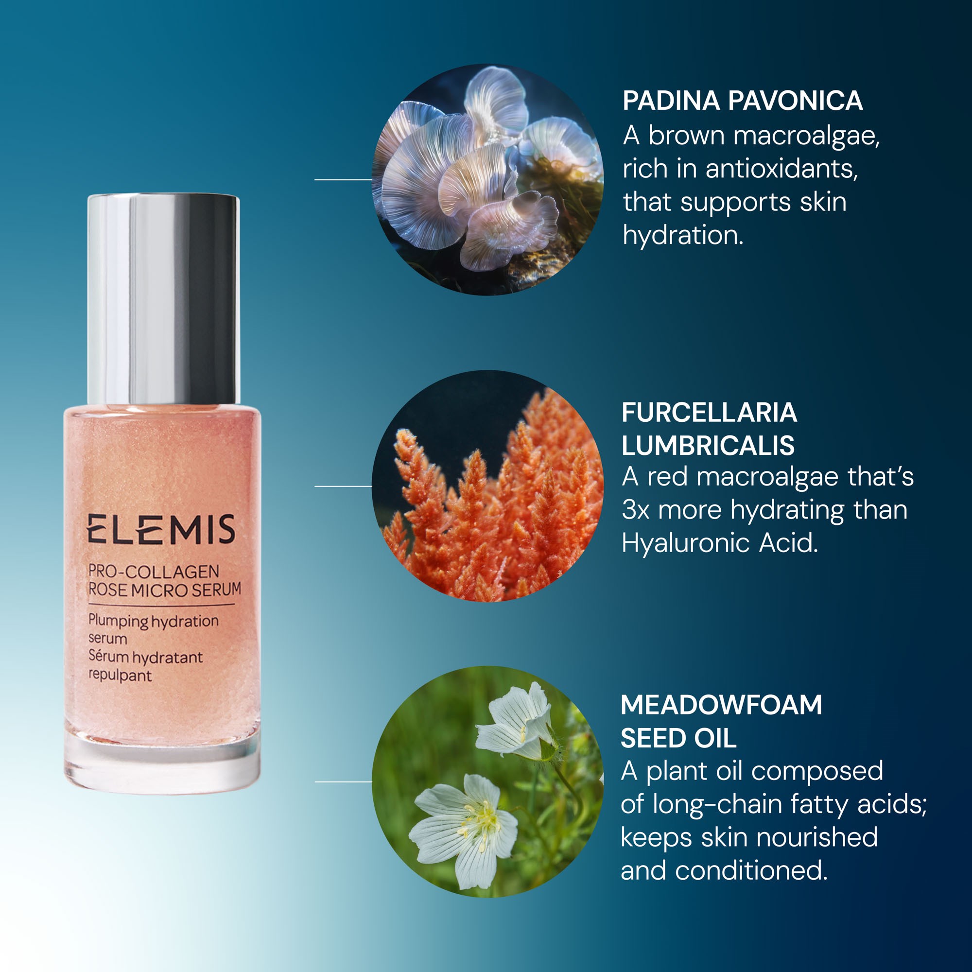 Elemis Pro-Collagen Rose Micro Serum 30 ml (obrázok 7)
