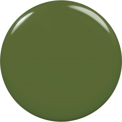 A green circular object with a shiny surface and no additional features.
