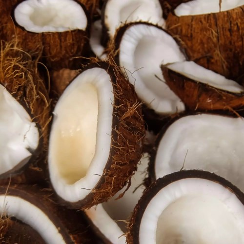 Flere biter av kokosnøtt med brunt skall og hvit indre del spredt rundt.