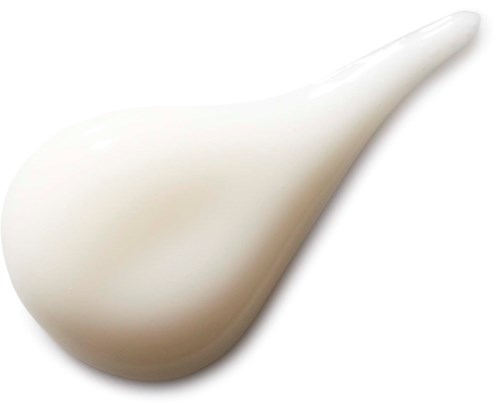 A white ceramic or plastic object shaped like a scoop or spoon, with a long handle.