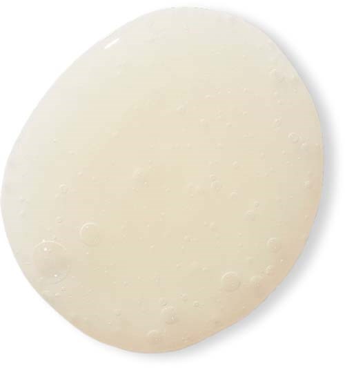 A round, white, flat object with small surface bumps, likely a slice of cheese or similar item.