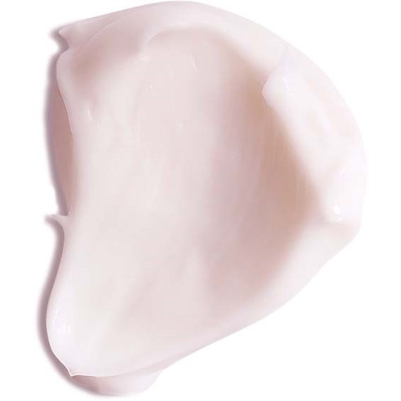 Evolve Organic Beauty Intense Hydrating Mask 60 ml (obrázok 3)
