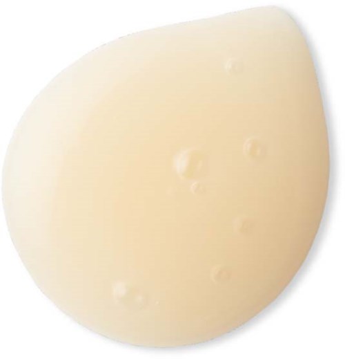 A round piece of cheese with holes, light in color, on a white background.
