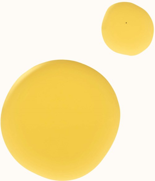 Two yellow circles, one large and one small, on a white background.