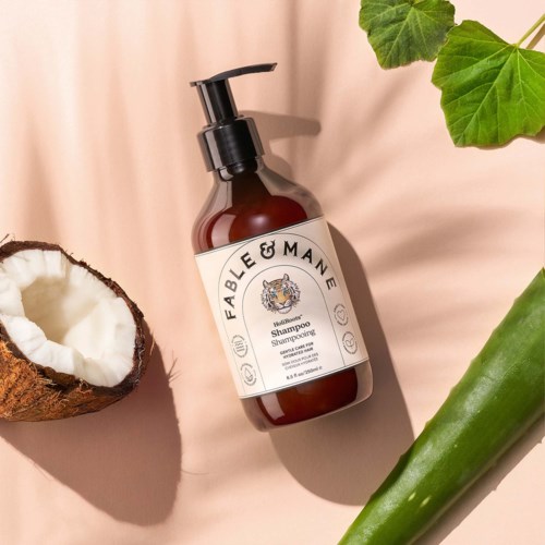 Brown bottle of Fable & Mane shampoo with coconut half, green leaves and aloe vera on a pink background.