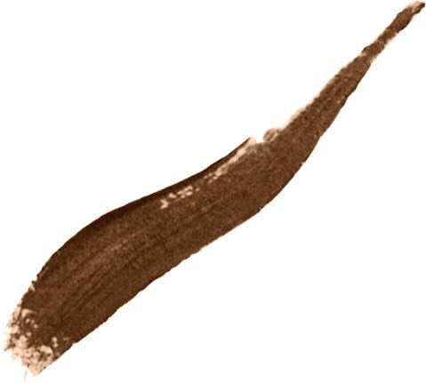 Ein brauner Pinselstrich auf weißem Hintergrund. Es ist dick am Anfang und dünn am Ende.