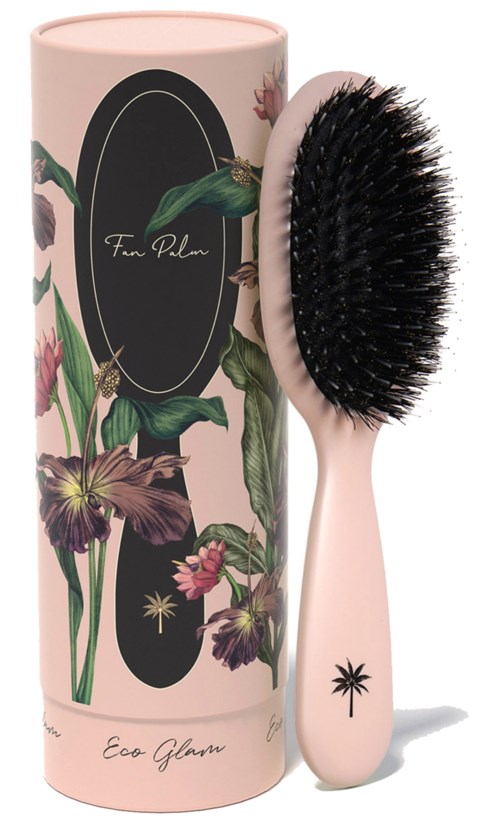 Fan Palm Eco Glam Small