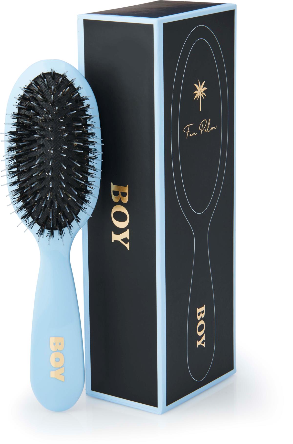 Fan Palm Small Boy Brush