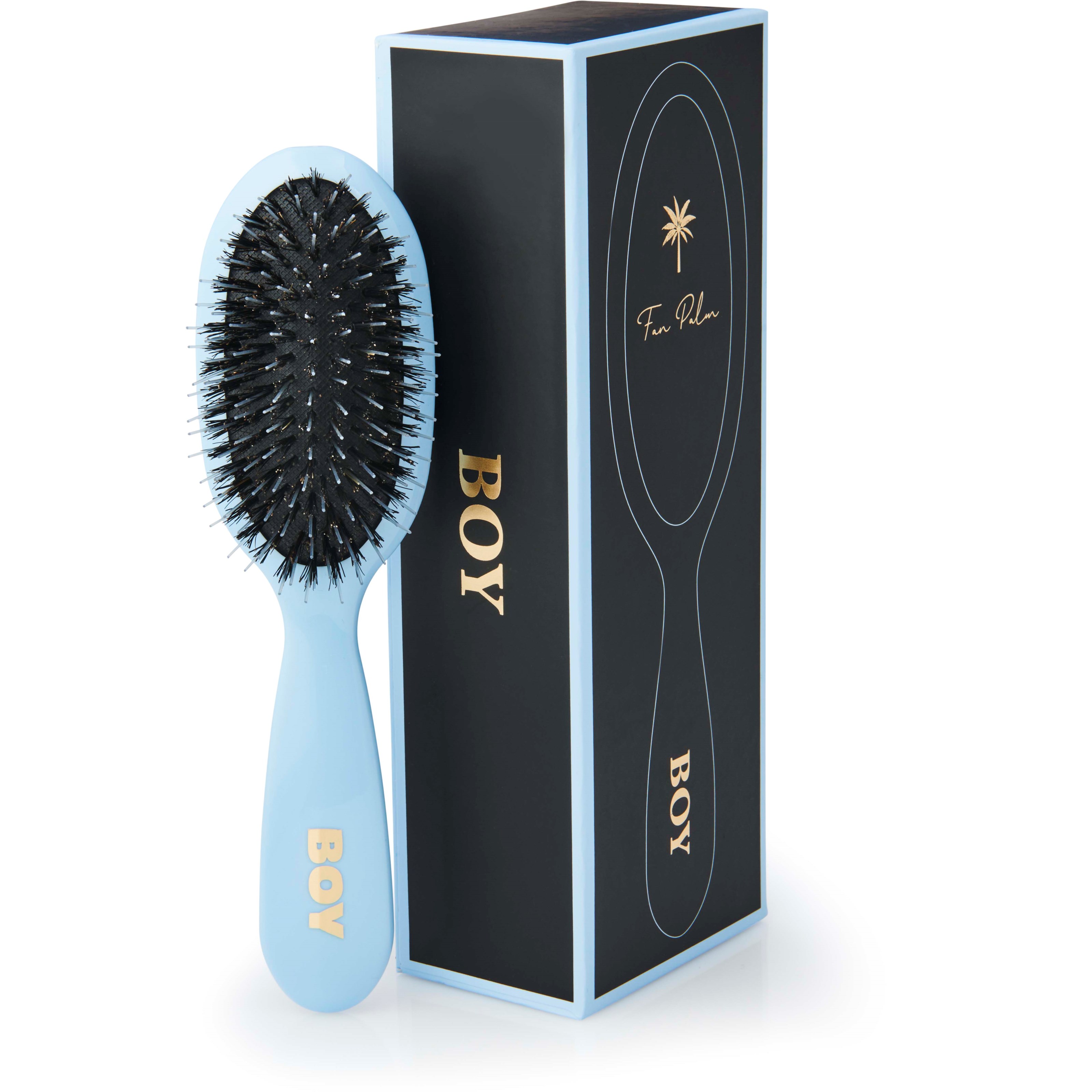 Fan Palm Small Boy Brush billede