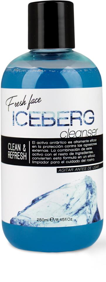 Fancy Handy Fresh Face Cleanser Iceberg 250ml