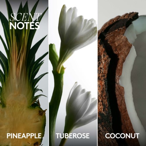 Dette bildet viser tre seksjoner: en ananas med grønne blader, hvite tuberose-blomster, og en kokosnøtt i tverrsnitt.