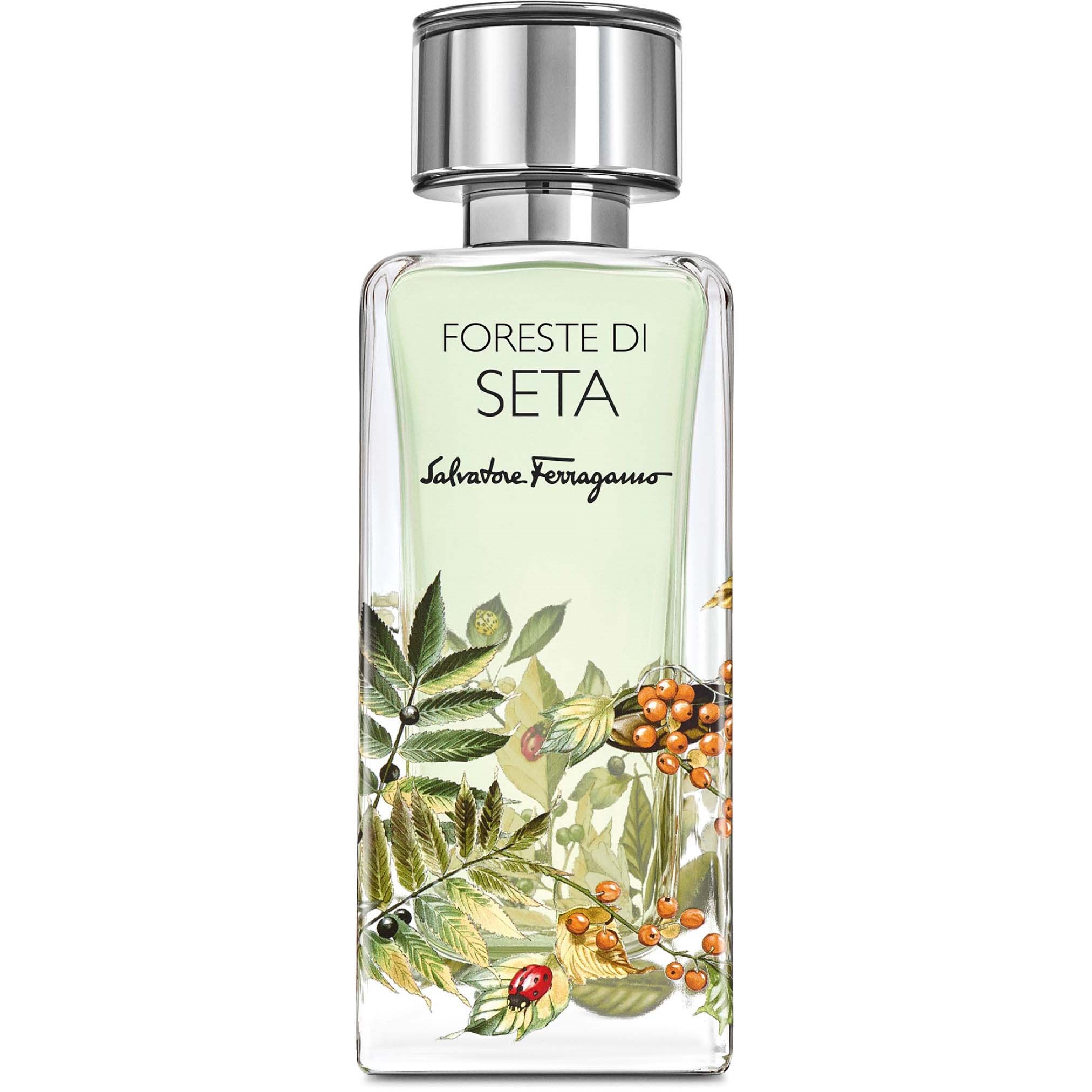 Ferragamo Di Seta Foreste Eau de Parfum 100 ml billede