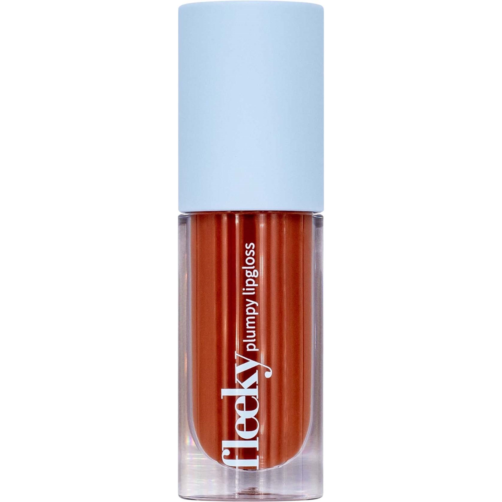 Fleeky Plumpy Lip Gloss #2 Toffee Brown
