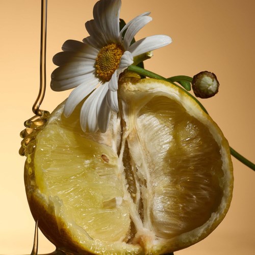 Eine Zitronenhalbkugel mit einer Gänseblümchenblüte auf der Spitze vor einem warmen gelben Hintergrund.