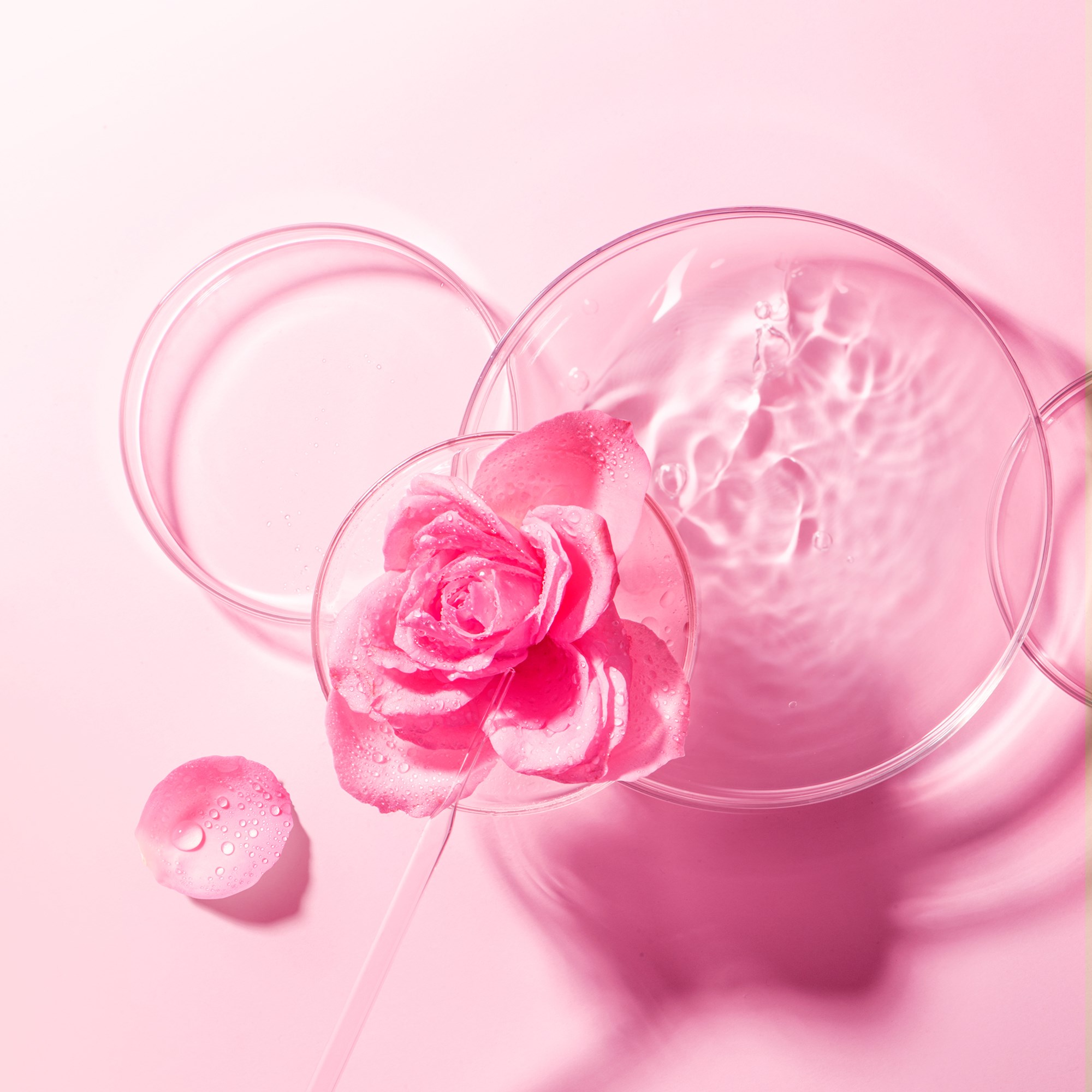 FOREO Farm To Face Bulgarian Rose Sheet Mask (obrázok 4)