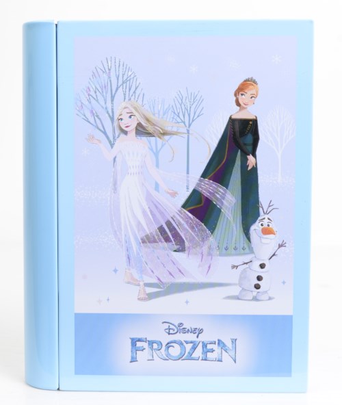 Frozen Snow-Magic Book