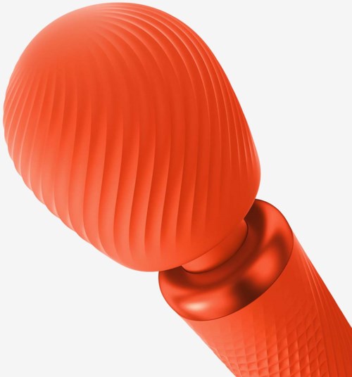 A red, textured, oval-shaped object connected to a rounded base.