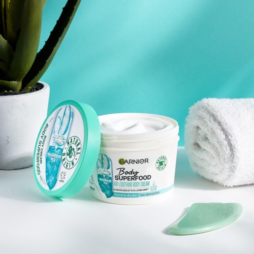 wo kann man eine aloe vera pflanze kaufen Aloë Vera kaufen? | Vera main image 1