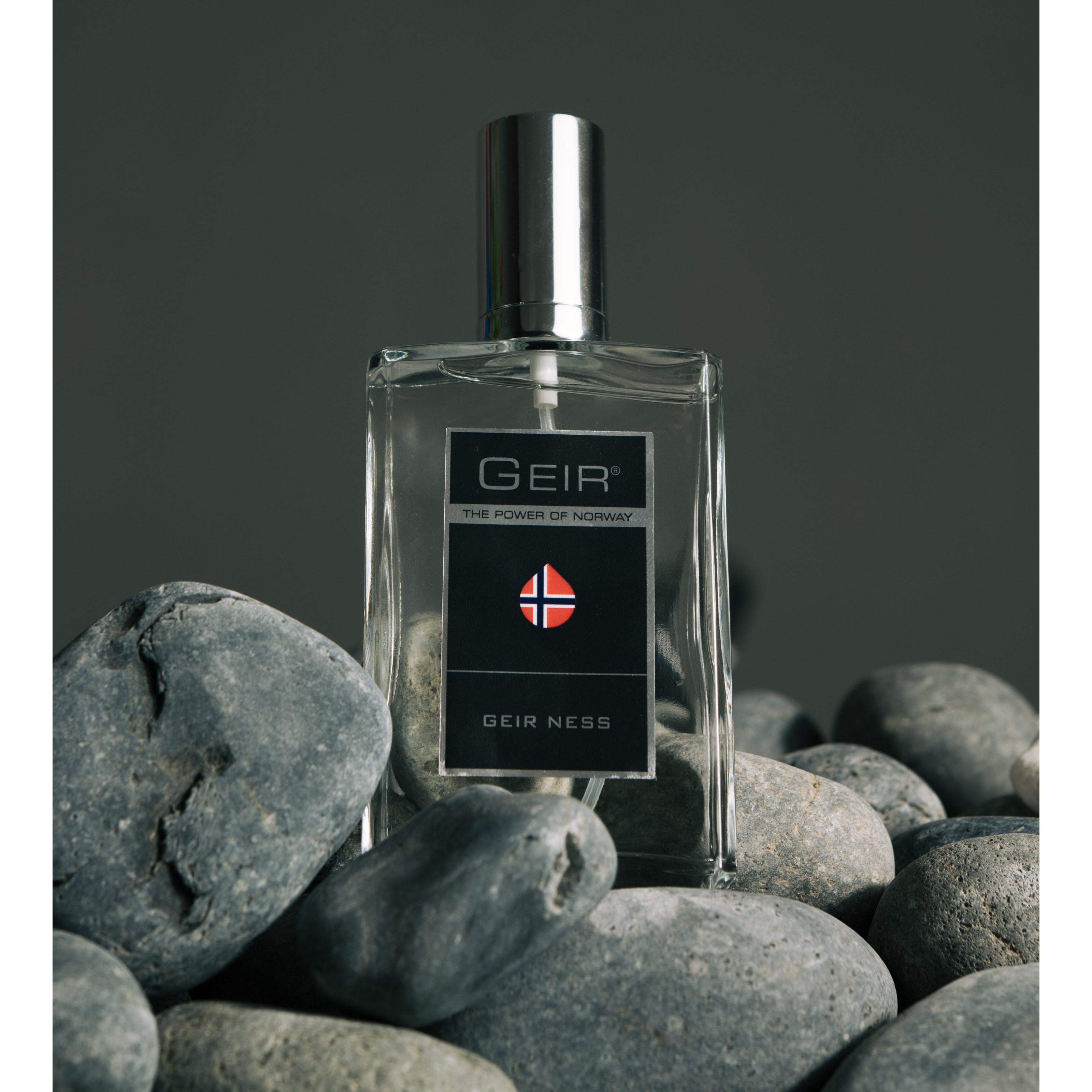 Geir Ness Geir Eau de Parfum 100 ml (obrázok 3)