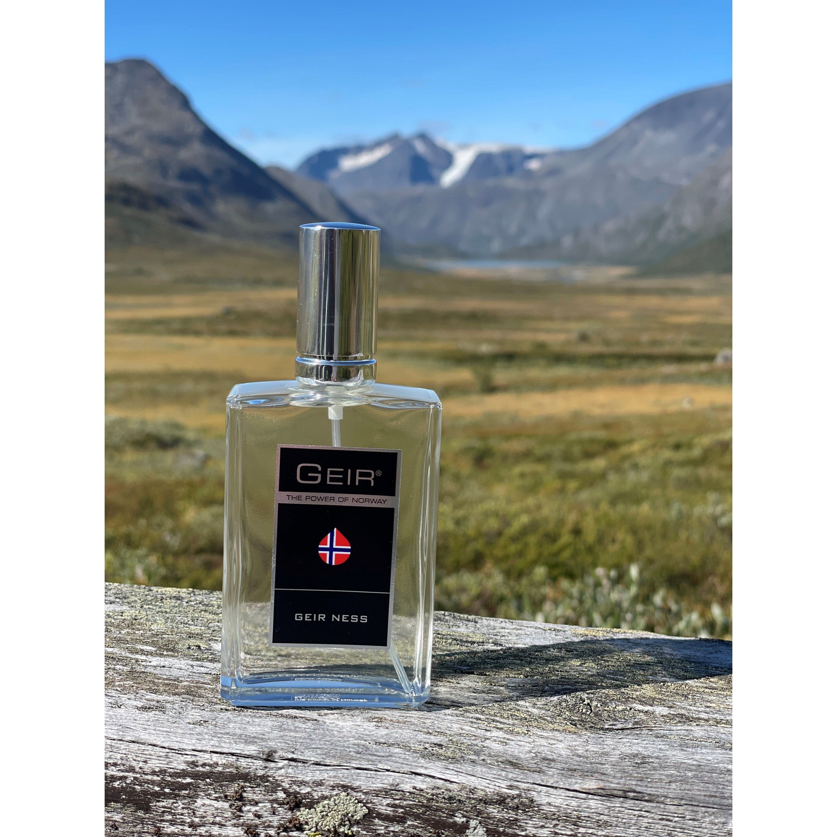 Geir Ness Geir Eau de Parfum 100 ml (obrázok 4)